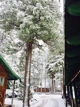 Timberlodge Zajazd